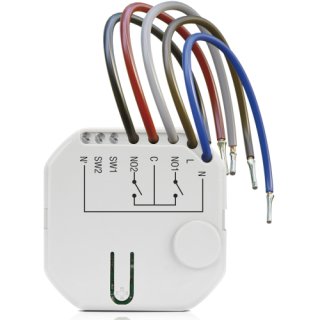 Abax 2 Bezprzewodowy dwukanałowy sterownik ASW-210