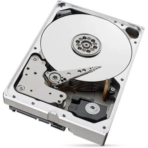 Dysk twardy do monitoringu Seagate Skyhawk AI 10TB